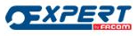 Expert